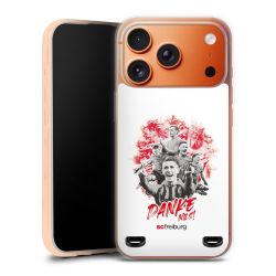 Carry Case Hülle Transparent ohne Band