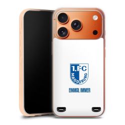 Carry Case Hülle Transparent ohne Band