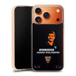 Carry Case Hülle Transparent ohne Band