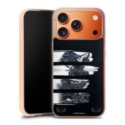 Carry Case Single Transparent