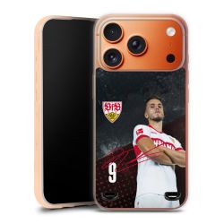 Carry Case Hülle Transparent ohne Band