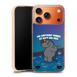 Carry Case Hülle Transparent ohne Band