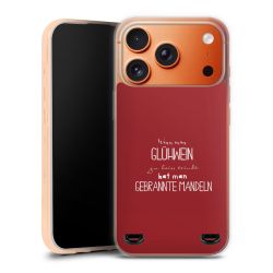 Carry Case Hülle Transparent ohne Band