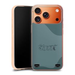 Carry Case Single Transparent