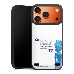 Premium Carry Case Hülle Mattschwarz ohne Band