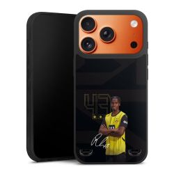 Premium Carry Case Single Matt black