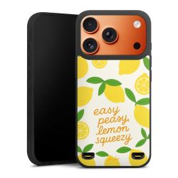 Premium Carry Case Single Matt black