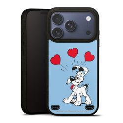 Organic Carry Case Hülle schwarz