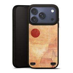 Organic Carry Case Hülle schwarz