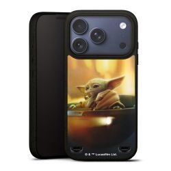 Organic Carry Case Hülle schwarz