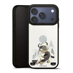 Organic Carry Case Hülle schwarz