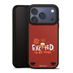 Organic Carry Case Hülle schwarz