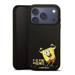 Organic Carry Case Hülle schwarz