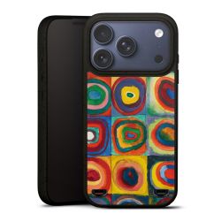 Organic Carry Case Hülle schwarz