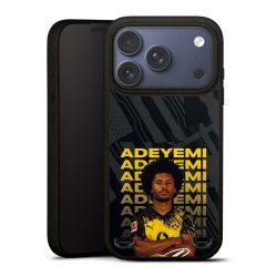 Organic Carry Case Hülle schwarz