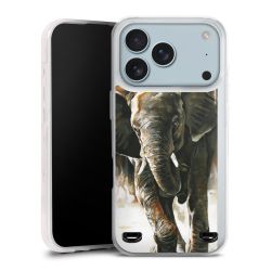 Carry Case Single Transparent