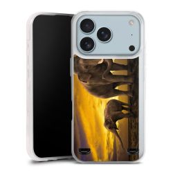 Carry Case Single Transparent