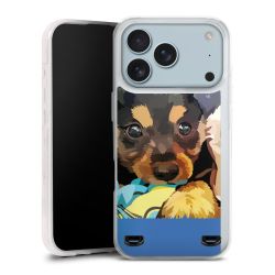 Carry Case Single Transparent