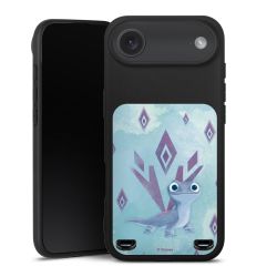 New Carry Case Hülle mattschwarz