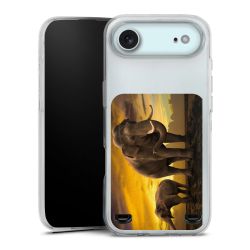 Carry Case Single Transparent