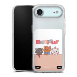 Carry Case Single Transparent