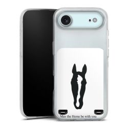 Carry Case Single Transparent