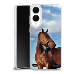 Carry Case Single Transparent