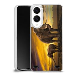 Carry Case Single Transparent