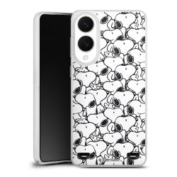 Carry Case Single Transparent