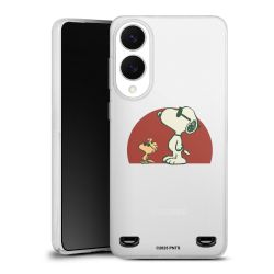 Carry Case Single Transparent