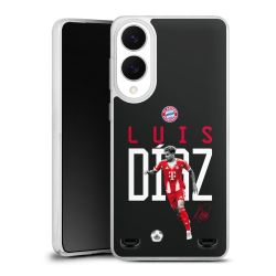 Carry Case Single Transparent