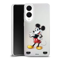 New Carry Case Hülle Transparent