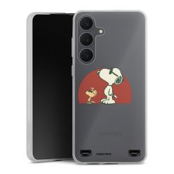 Carry Case Single Transparent