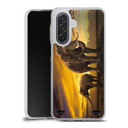 Carry Case Single Transparent