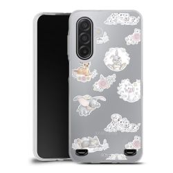 Carry Case Single Transparent