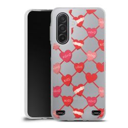 Carry Case Single Transparent