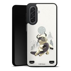 New Carry Case Hülle mattschwarz