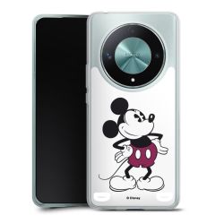 New Carry Case Hülle Transparent