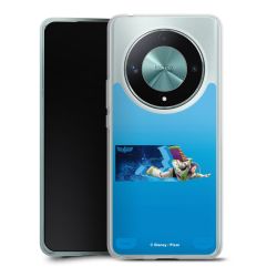 Carry Case Single Transparent