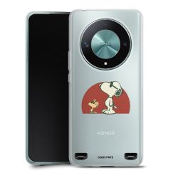 Carry Case Single Transparent