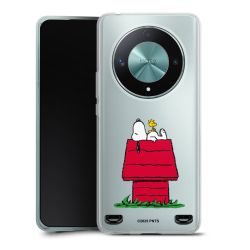 Carry Case Single Transparent