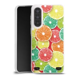 New Carry Case Hülle Transparent