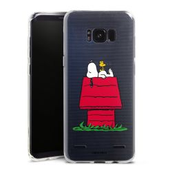 Carry Case Single Transparent