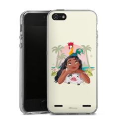 Carry Case Single Transparent