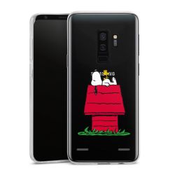 Carry Case Single Transparent