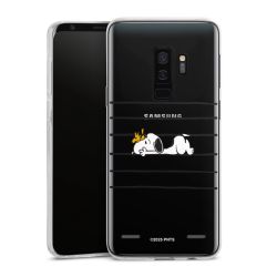 Carry Case Single Transparent