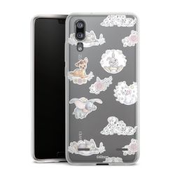 Carry Case Single Transparent