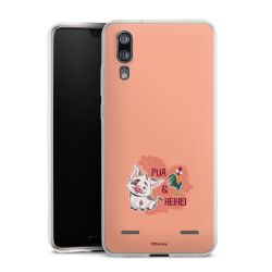 Carry Case Single Transparent