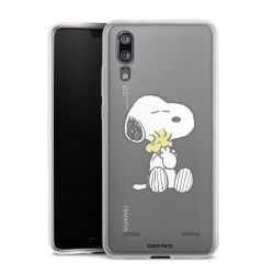 Carry Case Single Transparent