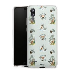 Carry Case Single Transparent